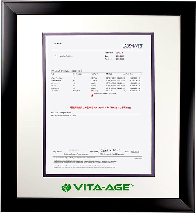 VITA-AGE L-Theanine L-theanine super strong 250mg combination 90 days supply (1 tablet/day/90 tablets) - BeesActive Australia