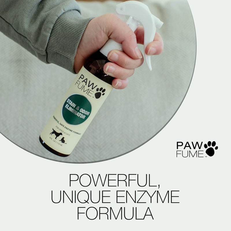 PAWFUME Stain & Odor Eliminator Pet Urine Enzyme Cleaner - Enzymatic Cleaner for Dog Urine Enzyme Cleaner - Cat Pee Enzyme Cleaner & Pet Stain and Odor Remover - Enzyme Cleaner for Cat Urine (4oz) Pack of 1 - BeesActive Australia