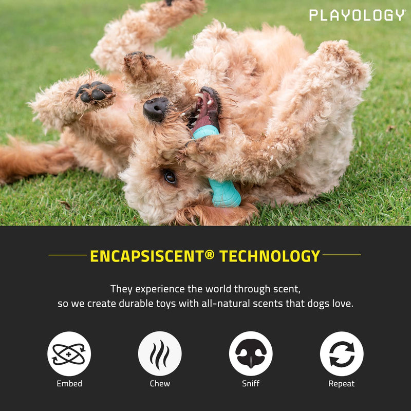 Playology Dual Layer Dog Toy - Engaging All-Natural Scented Dog Toys for Small, Medium & Large Dogs - Interactive & Tough Non-Toxic Chew Toys for Teething Large Bone Peanut Butter - BeesActive Australia