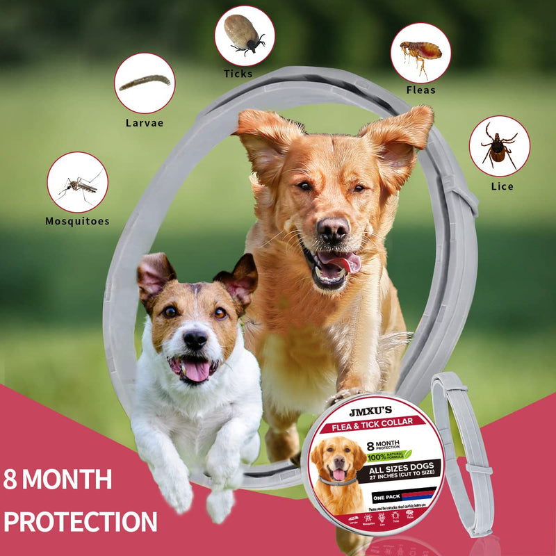 Flea and Tick Collar for Dogs, Flea and Tick Prevention for Dog, 27 Inch, 8 Month Protection 2 PACK DOG - BeesActive Australia