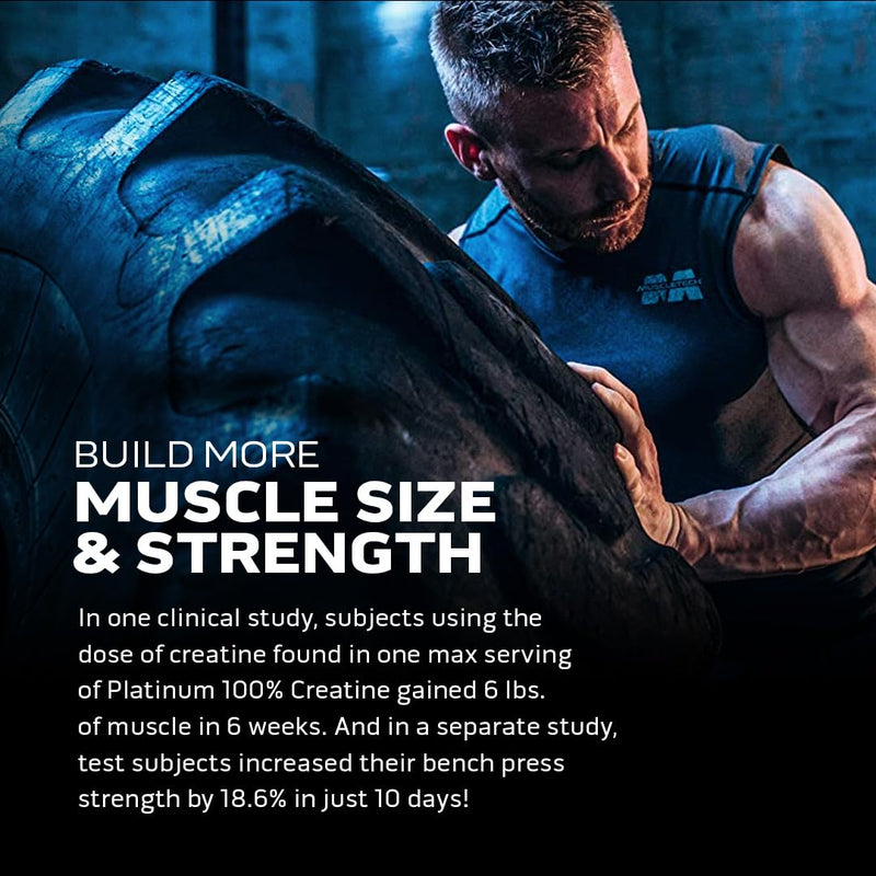 Creatine Monohydrate Powder | MuscleTech Platinum | Pure Micronized | Muscle Recovery + Builder for Men & Women | Workout Supplements | Unflavored (80 Servings) - BeesActive Australia