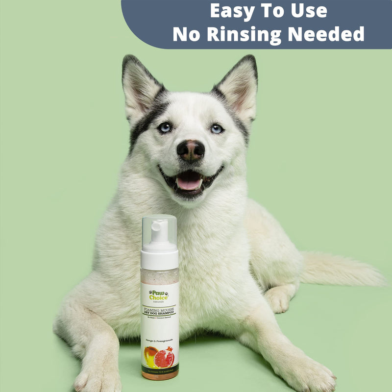 Paw Choice Dry Dog Shampoo - Waterless Dog Shampoo, No Rinse Foam Mousse for Removing Odor and Bathless Cleaning of Coat - Natural Dry Shampoo for Dogs - Made in USA Mango & Pomegranate - BeesActive Australia