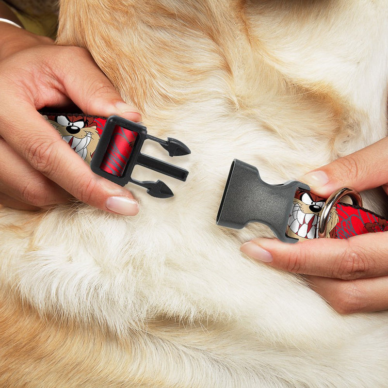 Buckle-Down Plastic Clip Collar - Tasmanian Devil Expressions Red Swirl - 1/2" Wide - Fits 9-15" Neck - Large 1" Wide - Fits 15-26" Neck - Large - BeesActive Australia