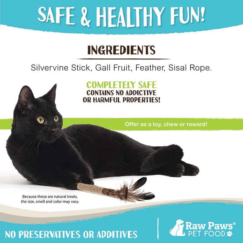 Raw Paws Silvervine Sticks Cat Feather Toys for Indoor Cats, 3 ct - Interactive Cat Toys with Feathers - Cat Kicker Toy - Catnip Toys for Cats - Cat Feather Stick, Silvervine for Cats, Matatabi Sticks - BeesActive Australia