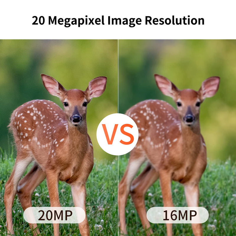 20MP Mini Trail Camera,1080P Hunting Trail Camera with No Glow 940nm Night Vision Motion Activated IP66 Waterproof,80ft Illumination Range Outdoor Expert Hunting Game Cam for Wildlife Monitoring - BeesActive Australia