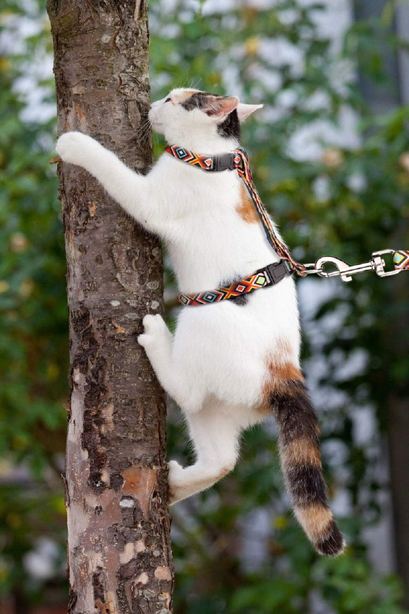 Cat Harness and Leash Set Geometric Pattern Escape Proof Adjustable for Kitty Outdoor Walking Orange - BeesActive Australia