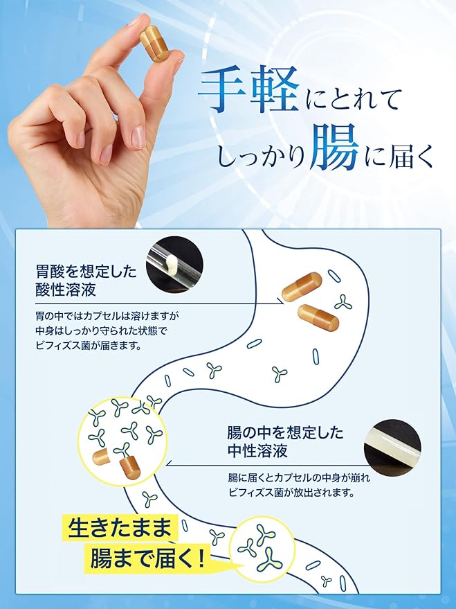 [Morinaga Direct Sales] Bifidobacterium/Lactic Acid Bacteria Manufacturer No. 1 Share Morinaga Bifidus Large Intestine Basic 1 bag (approximately 30 days) Supplement with calendar Functionally labeled - BeesActive Australia