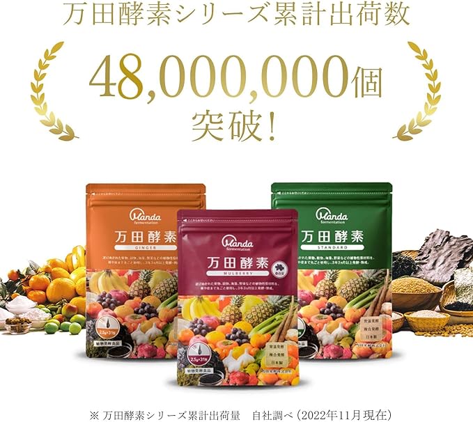 Manda Enzyme Ginger Paste Type, 2.7 oz (77.5 g) (0.09 oz (2.5 g) x 31 Packets) + Manda Enzyme Standard Grain Type, 5 Packets Set - BeesActive Australia