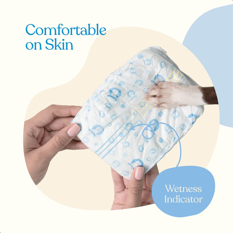 Comfortable Male Dog Diapers - Super Absorbent Disposable Male Dog Wraps- FlashDry Gel Technology, Wetness Indicator Doggie Diapers- Leakproof Belly Wraps for Incontinence, Excitable Urination Small 24.0 - BeesActive Australia