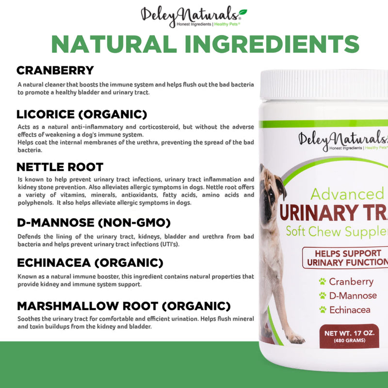 Dog UTI Prevention - Incontinence, Bladder, Kidney & Immune System Support - Cranberry Pills for Dogs - D-Mannose & Echinacea - Made in USA, Chicken, All Natural - 120 Grain Free Soft Chews - BeesActive Australia
