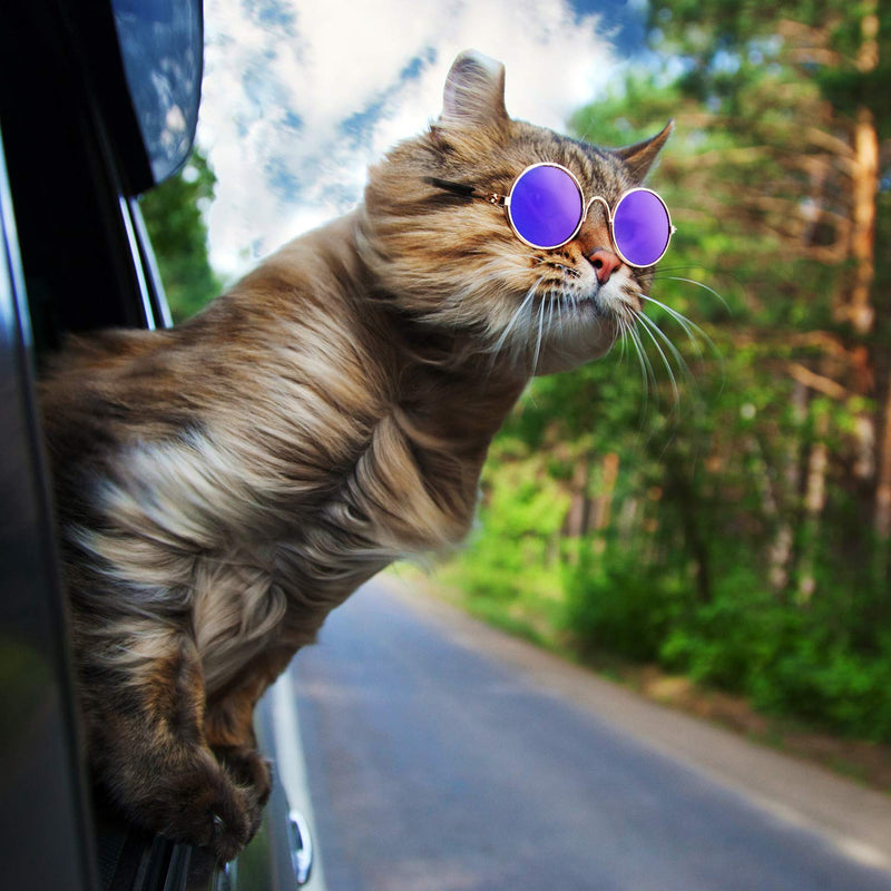 6 Pieces Funny Cute Cat Small Dog Sunglasses Classic Retro Circular Metal Prince Sunglasses Eye-wear Photos Props Accessories Cosplay Glasses Black and Mix Reflective Color - BeesActive Australia