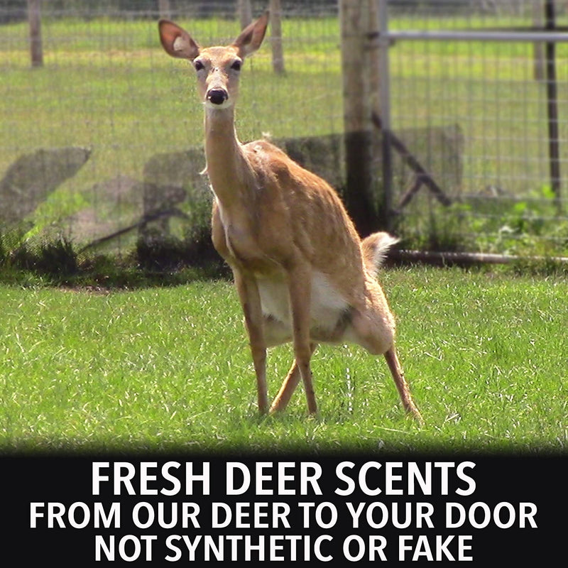 Outdoor Hunting Lab Doe Estrus Scent Buck Attractant for Whitetail Deer - Rut Scent Deer Attractant - Doe Pee Hunting Scent for Mock Scrapes, Scent Drags, and Drippers 1 Bottle - BeesActive Australia