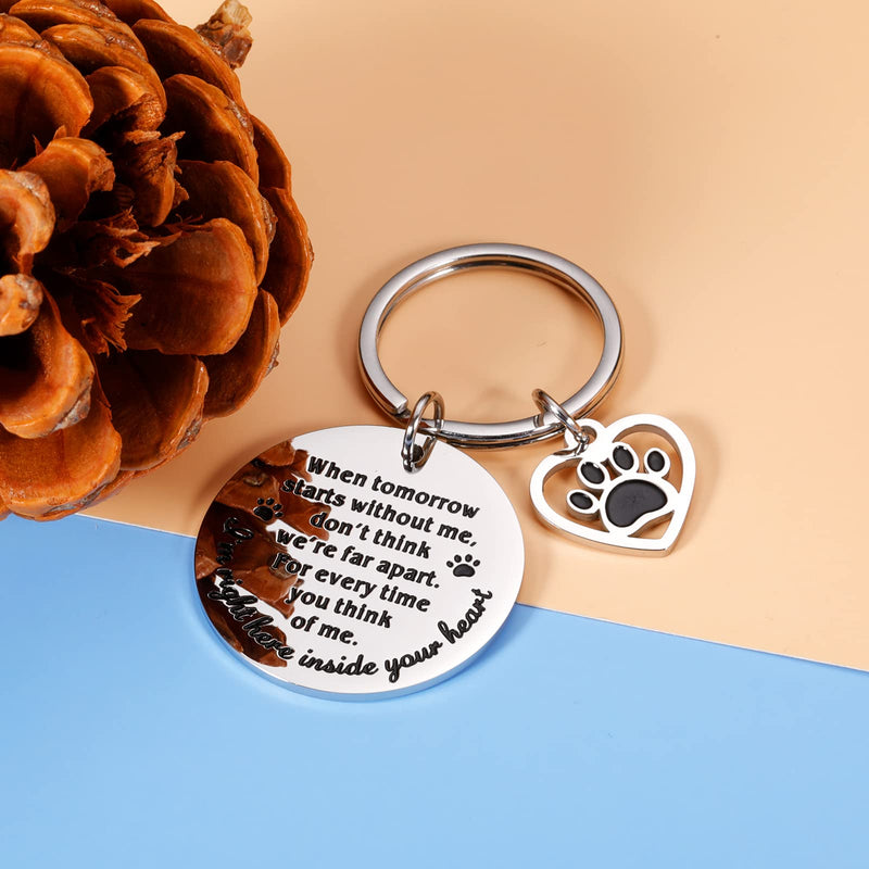 Pet Memorial Gifts, Dog Cat Remembrance Keychain, Loss of Dog Cat Sympathy Gifts Silver - BeesActive Australia