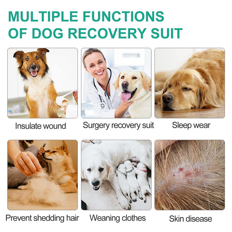 CAVSOIR Dog Recovery Suit E-Collar Alternative Pet Abdominal Wounds Protector Shirt Long Sleeve Dog Pajamas… Jumpsuits for Medium Large Dogs L Grey - BeesActive Australia