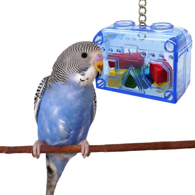 Sweet Feet and Beak Large or Small Treasure Chest - Perfect Bird Cage Toy Colorful, Safe, Easy to Install - Washable, Refillable, Non-Toxic, Foraging Box - Cage Accessories - BeesActive Australia