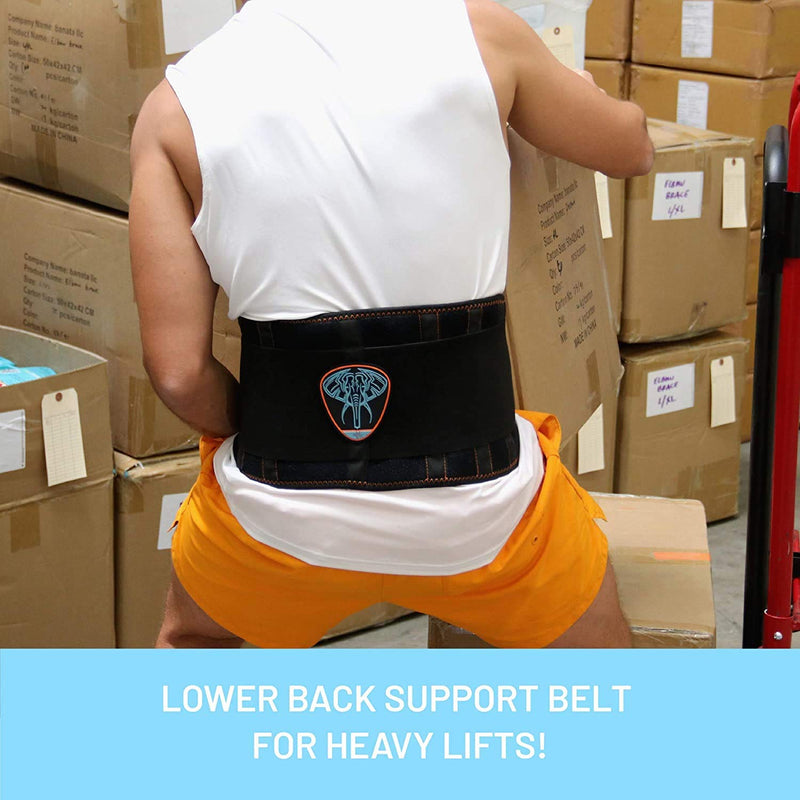 Lumbar Support Belt I Lower Back Brace by Everyday Medical I Targeted Lower Back Pain Relief for Back Spasms, Sciatica, Weight Lifting Waist Gym Belt for Sports I for Men and Women l Small/Medium S/M (68-93 CM Belly Circumference) - BeesActive Australia