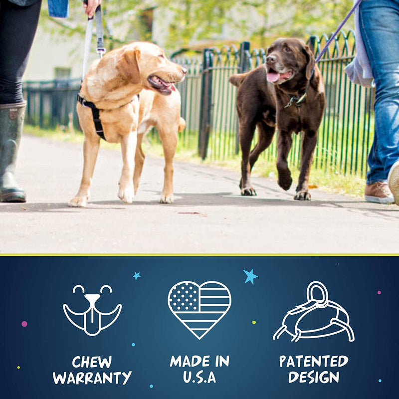 2 Hounds Design Freedom No Pull Dog Harness | Adjustable Gentle Comfortable Control for Easy Dog Walking |for Small Medium and Large Dogs | Made in USA | Leash Included 1" MD (Chest 24"- 28") Teal - BeesActive Australia