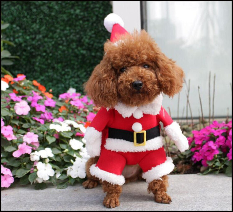NACOCO Pet Christmas Costumes Dog Suit with Cap Santa Claus Suit Dog Hoodies Cat Xmas Costumes Medium (Pack of 1) Red - BeesActive Australia