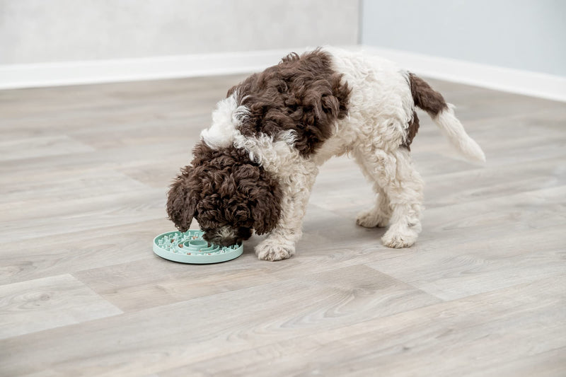 TRIXIE Junior Licking Mat, Pet Slow Feeder, for Dogs and Cats, Mint - BeesActive Australia