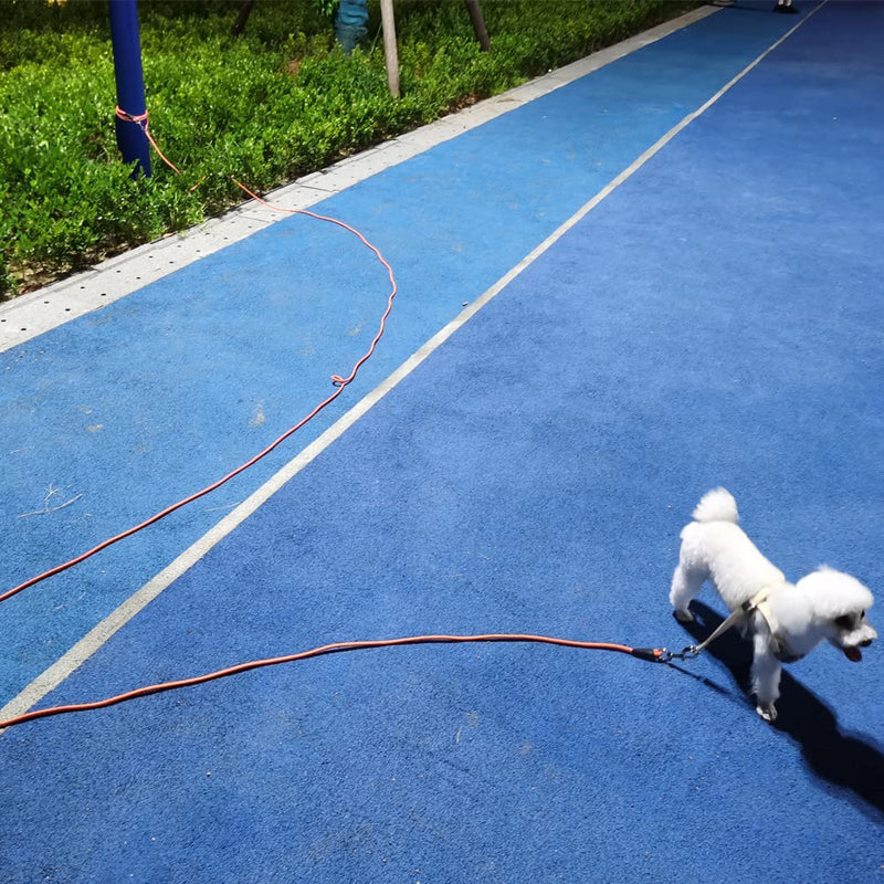 MayPaw Reflective Dog Tie Out Rope, 1/4" by 4m, 6m, 8m, 10m, 12m, 15m, 18m, 23m, 30m Long Tether for Yard Outdoor Medium Small Dogs / Puppy Training Lead 8m (26 Foot) Orange - BeesActive Australia