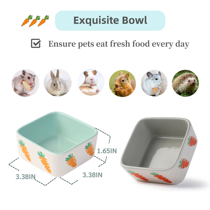 JanYoo Rabbit Food Bowl Guinea Pig Feeder Ceramic for Cage with Water Bowls Supplies and Accessories for Bunny B-Blue+Grey Pack of 2 - BeesActive Australia