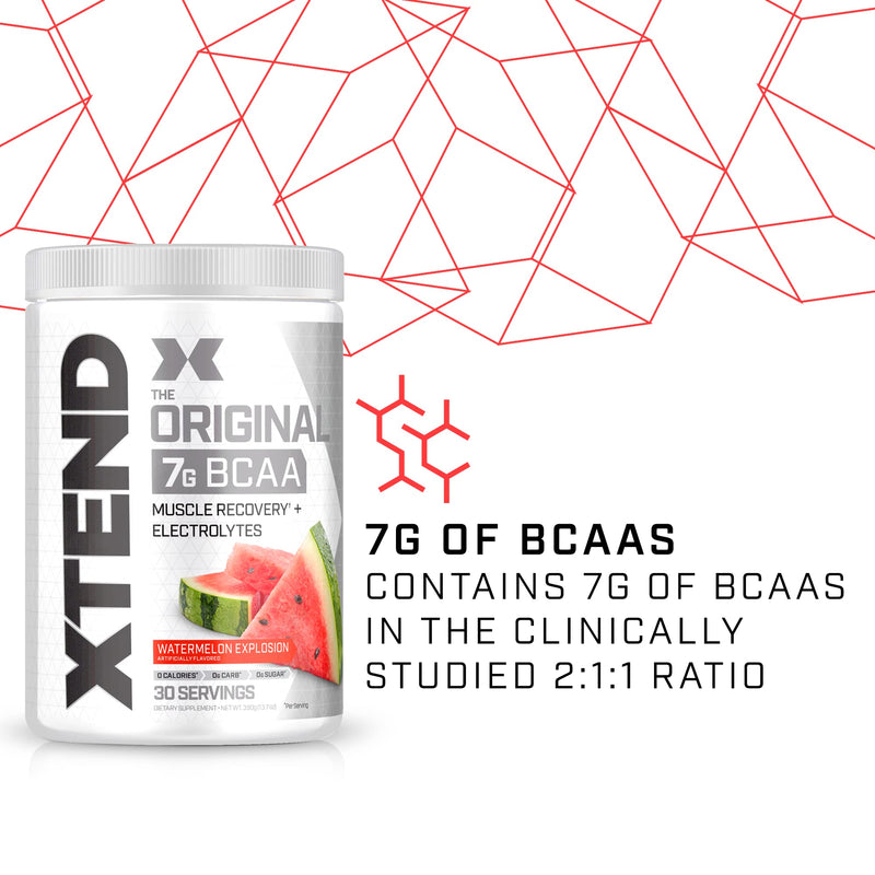 XTEND Original BCAA Powder Watermelon Explosion - Sugar Free Post Workout Muscle Recovery Drink with Amino Acids - 7g BCAAs for Men & Women - 30 Servings - BeesActive Australia