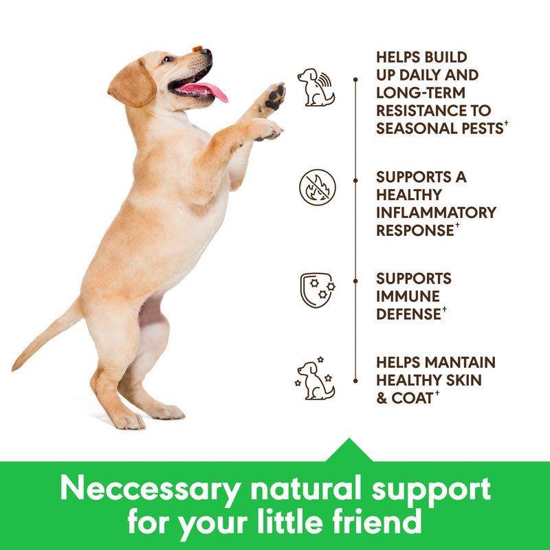 Flea and Tick Prevention for Dogs Chewables - Made in USA - Natural Flea and Tick Supplement for Dogs - Oral Flea Pills for Dogs - Pest Defense - All Breeds and Ages - Made in USA - BeesActive Australia