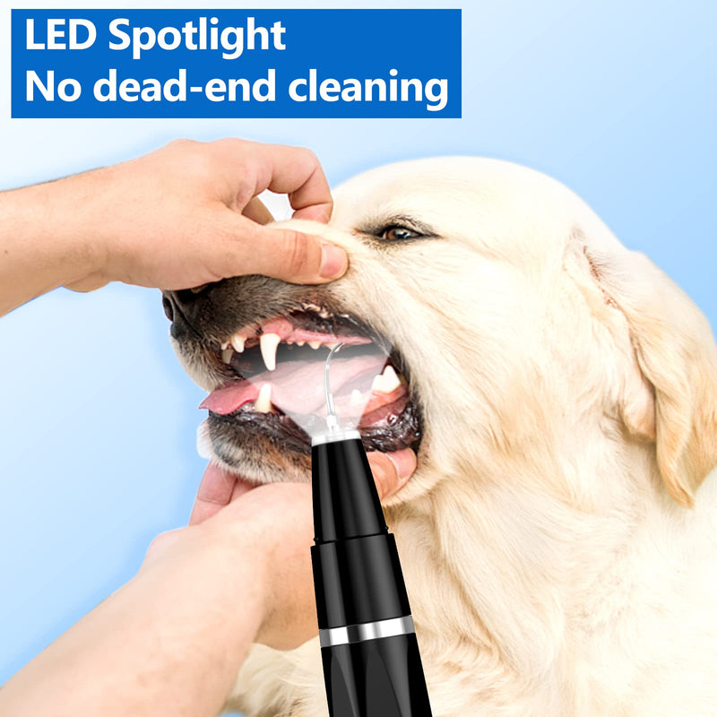 Dog Plaque Remover for Teeth，Pet Ultrasonic Tooth Cleaner Toothbrush，Teeth Cleaning Kit -Tartar Remover for Teeth Stains for Dogs and Cats (Black) Black - BeesActive Australia