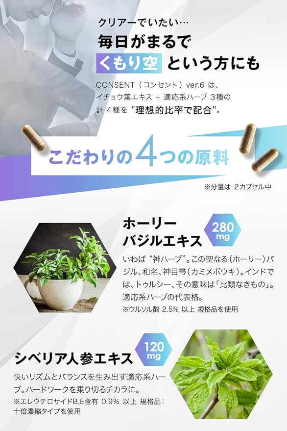 Serotonin, Concentration, Motivation, Proactive Mind/Body Management, Holy Basil, 280 mg, Rhodiola, 120 mg, Ginkgo Biloba, 20 mg, 2 Caps, Synergy Blend, 90 Capsules, 45 Servings, Made in Japan - BeesActive Australia