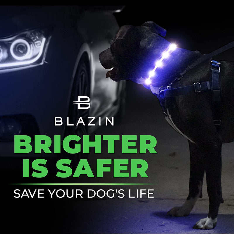 Blazin LED Light Up Dog Collar - 1,000 Feet of Visibility - Brightest for Night Safety - USB Rechargeable with Water Resistant Glowing Dog Collar Light Medium (Pack of 1) Pink - BeesActive Australia