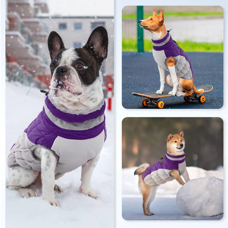 OUOBOB Dog Winter Jacket Cozy Reflective Waterproof Dog Coat Windproof Warm Pet Garment, Comfortable Cold Weather Fleece Apparel Outfits with Zipper Closure for Small Medium Large Dogs Puppy Walking Purple - BeesActive Australia