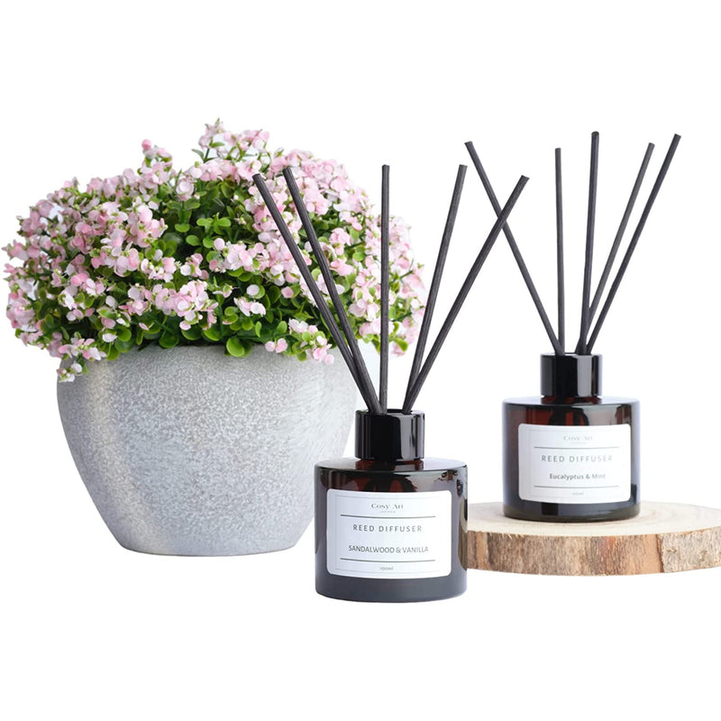 Essential Oil Reed Diffuser | Sandalwood & Vanilla | 100ml | 7 Sticks | Natural Home Fragrance for All Occasions - BeesActive Australia