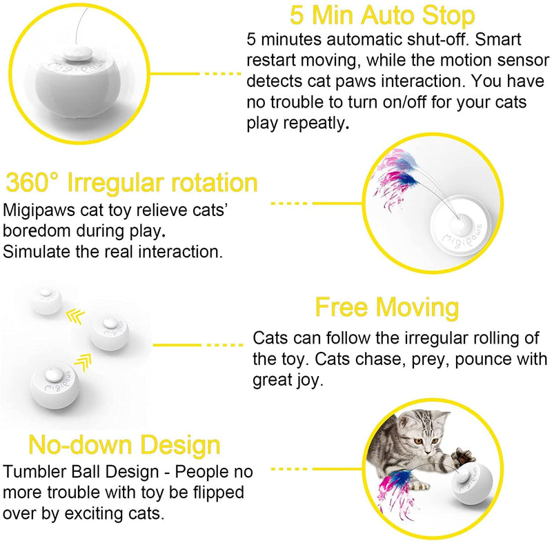 Migipaws Tunnel Cat Toys, Kitten Indoor Addict Interactive Movie with Automatic Butterfly Shadow Play, Innovation Pet Carton Box Toy, Rechargeable Butterfly cat toy - BeesActive Australia