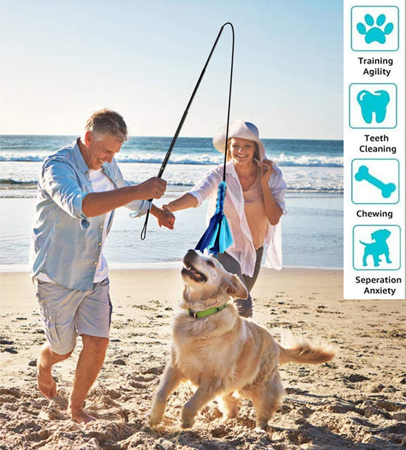 GoodsBeauty Interactive Dog Toys - Extendable Flirt Pole with 2pcs Braided Rope Tugs for Dog Outdoor Entertainment, Train and Exercise, Black, Size L new blue - BeesActive Australia