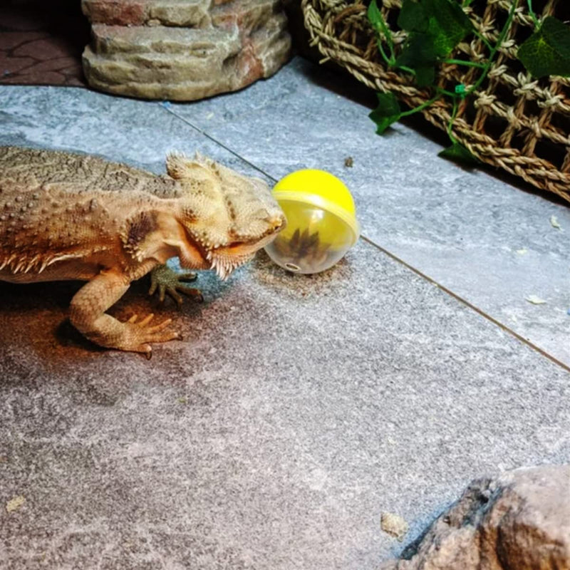 CooShou Lizard Bearded Dragon Feeding Toys Ball Reptile Food Toys Ball Lizard Interactive Toys for Bearded Dragon, Lizard, Gecko and Small Animals 6Pcs - BeesActive Australia