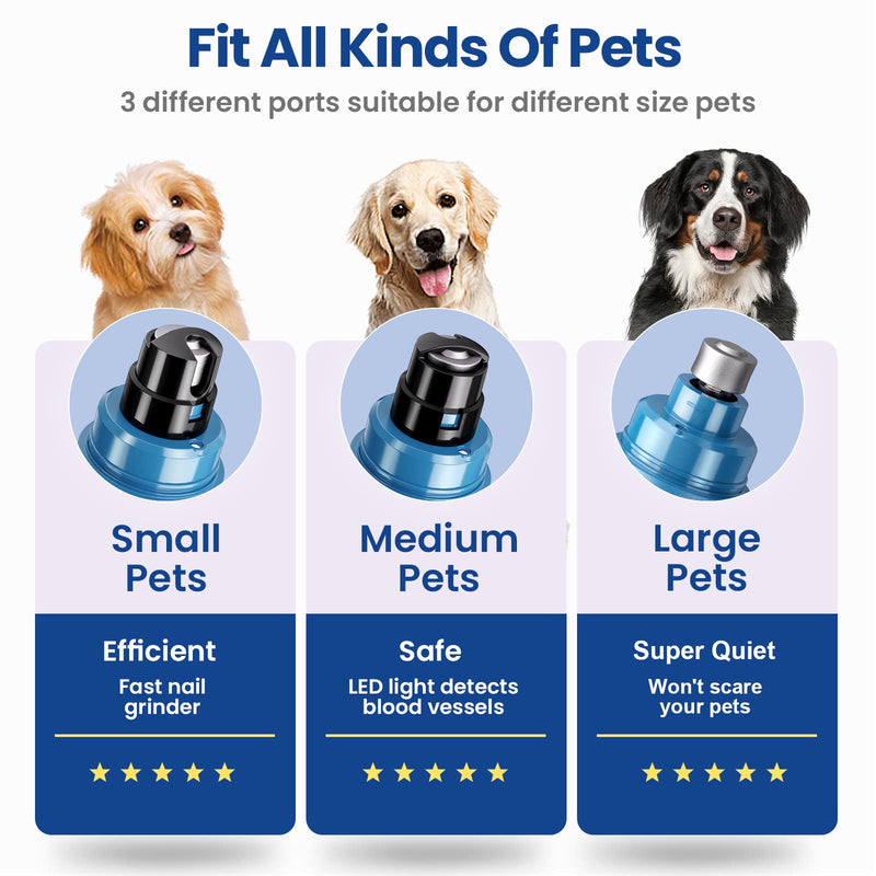 DEELOKI Dog Nail Grinder with LED Light Upgraded 2 Speeds Painless Pet Dog Nail Trimmers and Clipper Super Quiet Best Cat Dog Nail Clippers Kit for Large Small Dogs Pets Cats Breed Paws Quick Grooming Blue - BeesActive Australia