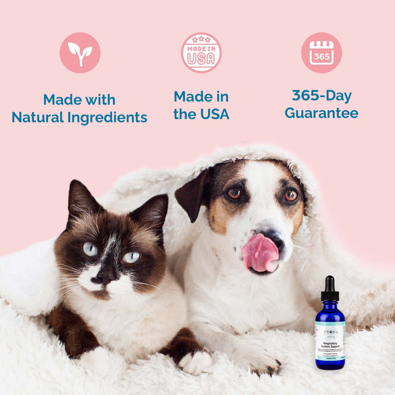 Respiratory Support Formula by Prana Pets Naturally Promotes Optimal Respiratory Function in Dogs and Cats 1 Pack - BeesActive Australia
