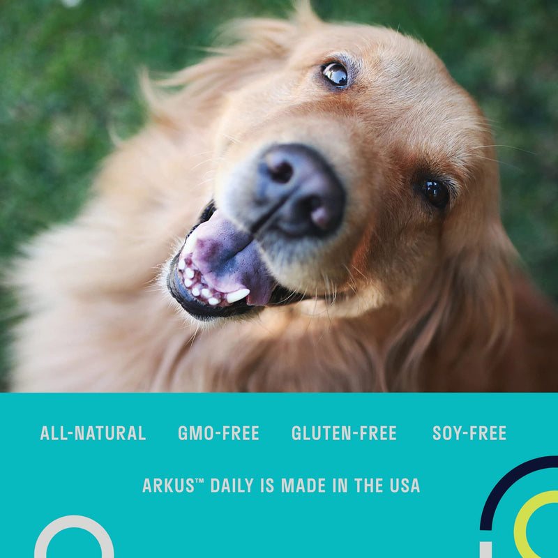 ARKUS Daily Dog Probiotic, The Only Product Made with Microbes That are Natural to The Gut of Healthy Dogs, Supports Better Digestion, Gut Health, and Immune System, Maintains a Healthy Microbiome - BeesActive Australia