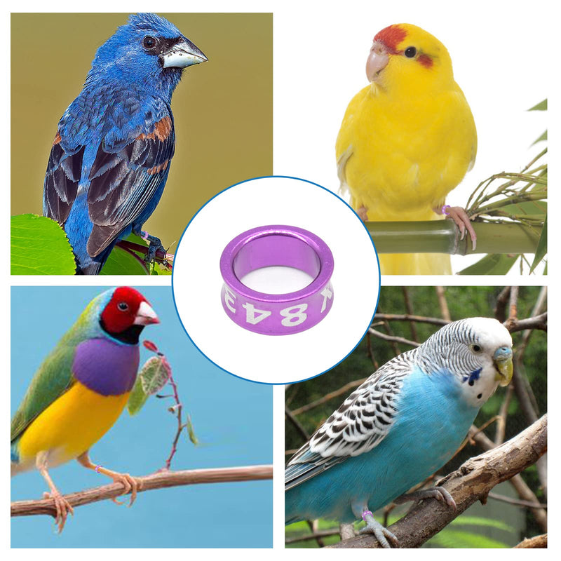 PFCKF Bird Foot Ring Bird Leg Ring Aluminum Dosed Bird Leg Ring Identification Pigeon Training Ring for Hibiscus Birds, Parrots, Peonies, Pigeons, Etc. Mixed Colors 50 Pieces Per Pack 6.0 - BeesActive Australia