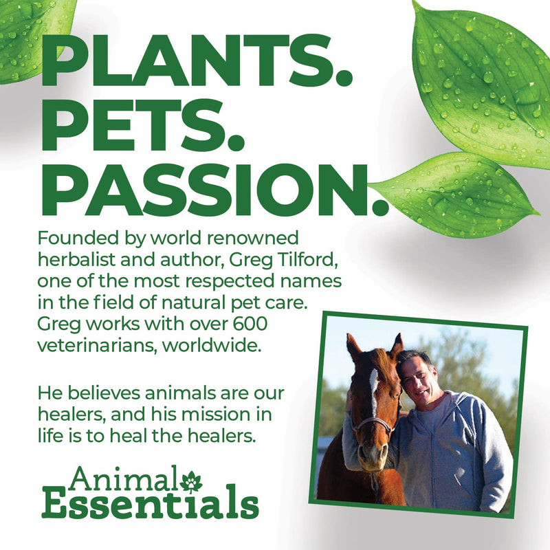 Animal Essentials Pet Supplements for Dog and Cat 2 fl oz (60 ml) - BeesActive Australia