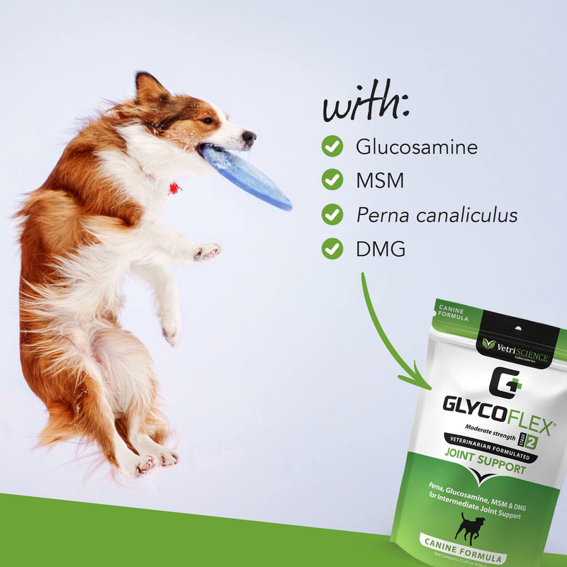 VetriScience Glycoflex 2 Hip and Joint Supplement for Working and Active Dog Breeds, Chicken, 120 Chews - Joint and Mobility Support for Competitive and Maturing Dogs - BeesActive Australia