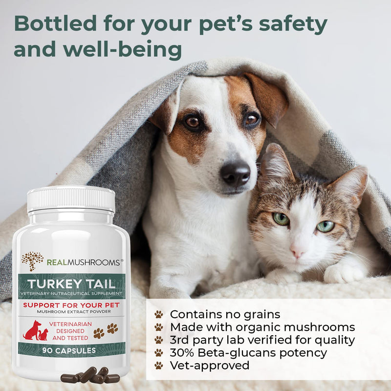 Turkey Tail Pet Support - Dog Multivitamins and Supplements for Immune Support, Gut Health & Wellness - Grain-Free, Gluten-Free, Vet-Approved Dog Supplement (90ct) - BeesActive Australia