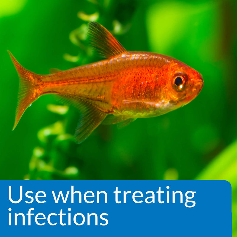 API PIMAFIX Fish remedy, Contains all-natural extract from West Indian Bay Trees to rapidly and safely treats fungal infections on fish body and fins, Use daily for a week when treating infections 4-Ounce - BeesActive Australia
