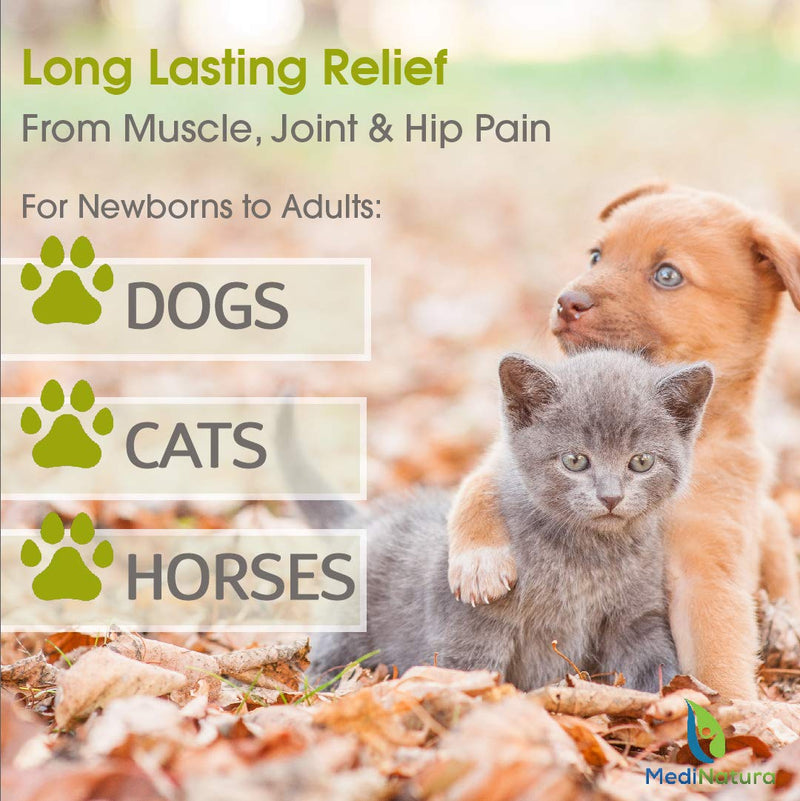 T-Relief Pet Pain Relief Arnica +12 Powerful Natural Medicines Help Reduce Muscle, Joint & Hip Pain, Soreness, Stiffness, Injuries in Dogs & Cats - Vet Approved, Fast-Acting Soother - 90 Tablets - BeesActive Australia