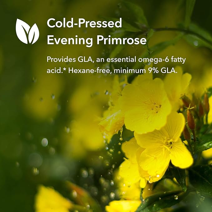 Evening Primrose Oil (EPO Evening Primrose Oil 120 Softgels) - BeesActive Australia