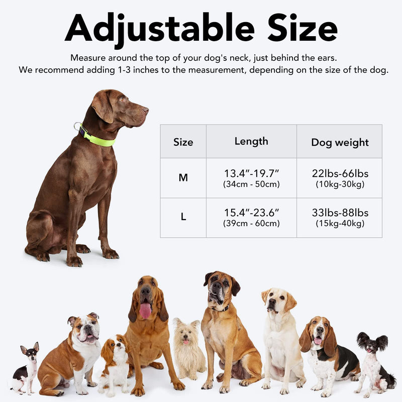 KOSKILL Light Up Dog Collar at Night, Led Dog Collar Adjustable, Lighted Dog Collar Rechargeable Waterproof, Dog Lights for Night Walking, Glow in The Dark Dog Collars Light for Medium Large Dogs Green - BeesActive Australia