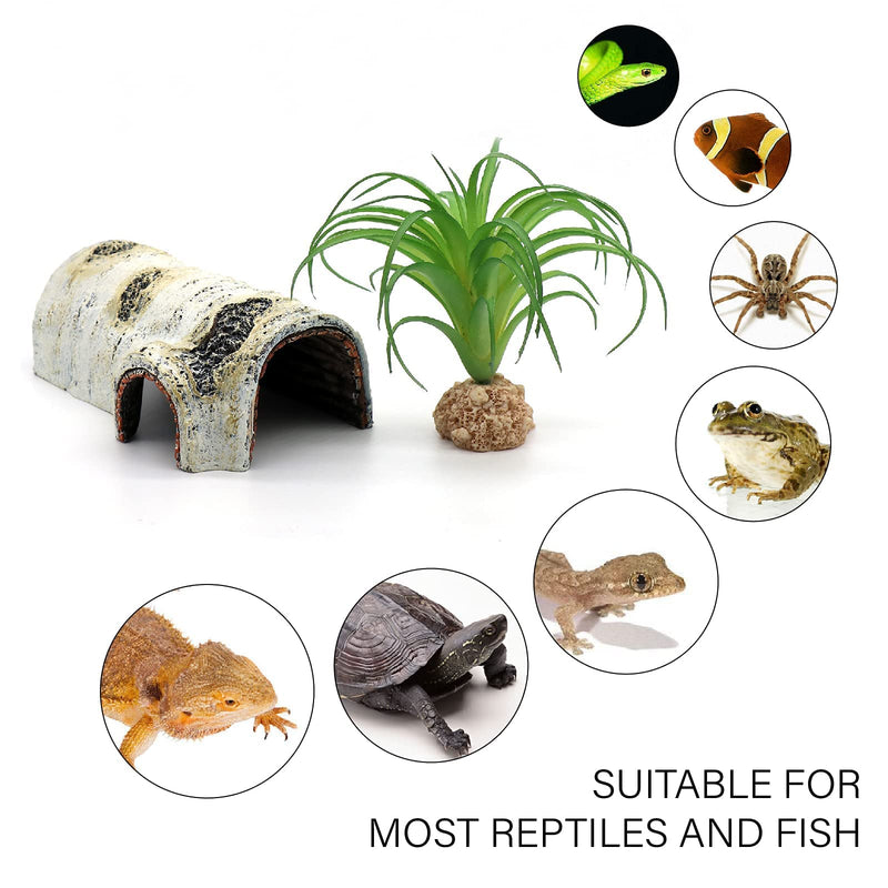 Reptile Hides and Caves Birch Tree Bark Trunk Habitats Decor Aquarium Decoration Wood for Lizard Geckos Snake Spiders Frogs Turtle Small - BeesActive Australia
