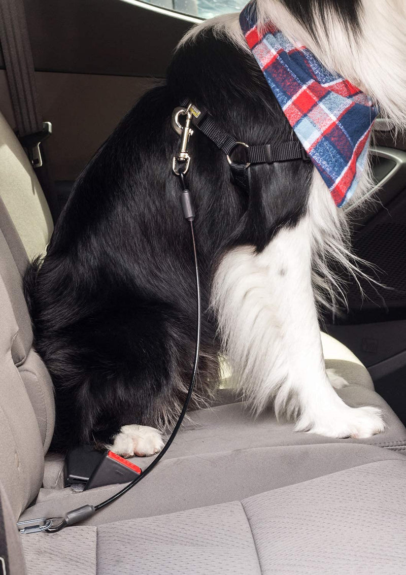 Leash Boss Dog Car Seat Belt Restraint - No-Chew Heavy Duty Car Seatbelt for Pets - 5 Sizes - Coated Steel Rope to Prevent Chewing 26 In - BeesActive Australia