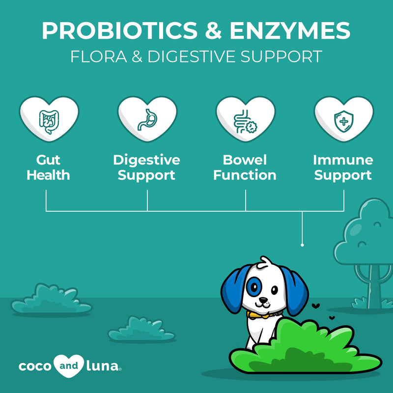 Probiotics for Dogs - 5.5 Billion CFUs with Digestive Enzymes and Prebiotics - Dog Allergies, Diarrhea, Bad Dog Breath, Constipation, Yeast, Hot Spots, Gas Relief - 120 Chewable Tablets - BeesActive Australia