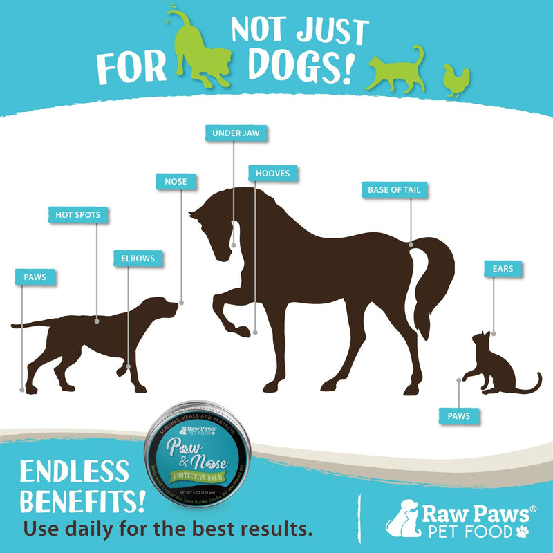 Raw Paws Pet Dog Paw Balm for Dogs & Cats, 4-oz - Natural Paw Balm Dogs - Cat Paw Balm - Paw Soother for Dogs - Paw Butter Balm for Dogs - Paw Cream for Dogs - Paw Pad Moisturizer - Paw Wax for Dogs - BeesActive Australia